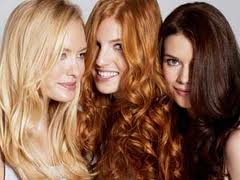 Manufacturers Exporters and Wholesale Suppliers of Hair Color Sojat Rajasthan